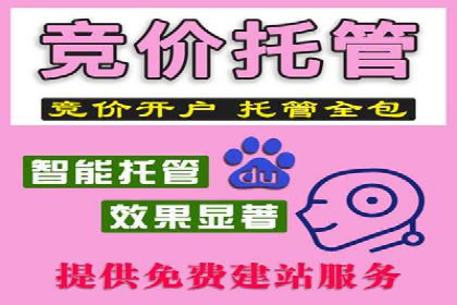 竞价排名案例：快速抢占市场先机